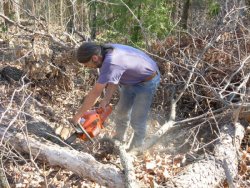 Work Day at the Smoky Mountain Peace Pagoda, Newport, NC, 2006-04-11 - Joel with the chainsaw